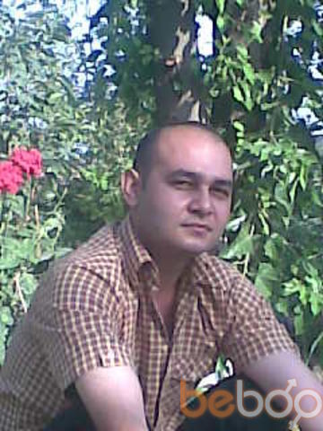  ,   Volk7, 43 ,   
