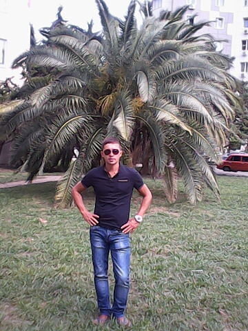  -,   , 40 ,   