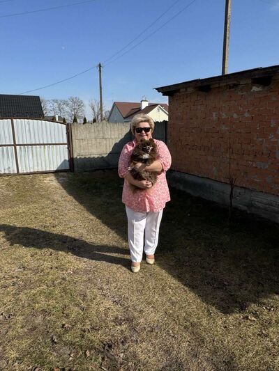  ,   , 55 ,   ,   