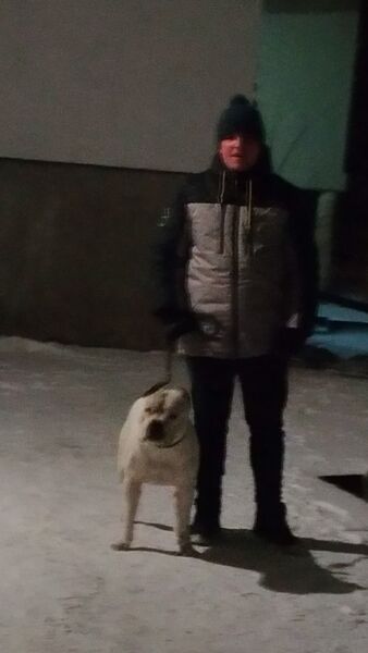  ,   Vladimir, 28 ,   