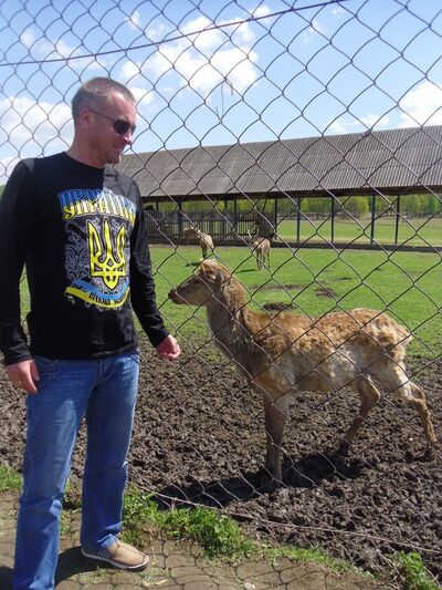  ,   , 49 ,   ,   , c 