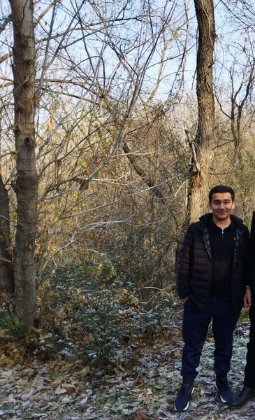  ,   Ulan, 31 ,   ,   