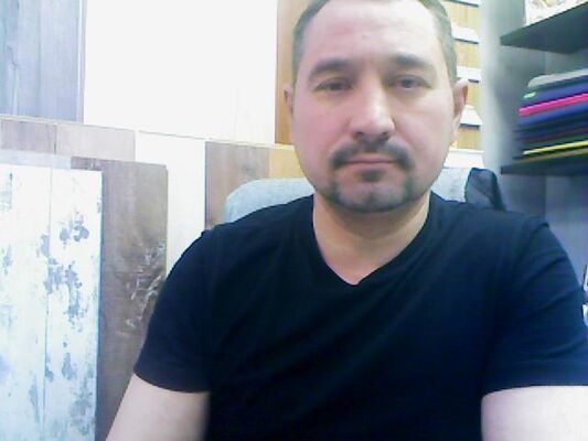  ,   Volk, 51 ,     , c 