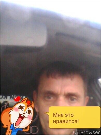  7981906  , 49 ,     