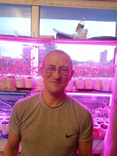  -,   , 41 ,   ,   , c 