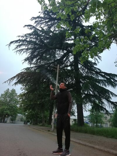  ,   Gio, 38 ,   ,   , c 