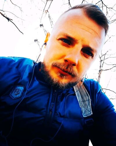  ,   Art, 31 ,   ,   