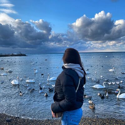  ,   , 26 ,   ,   , c 