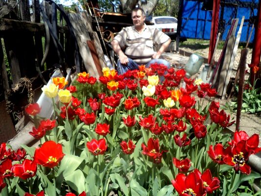  ,   , 63 ,   ,   , c 