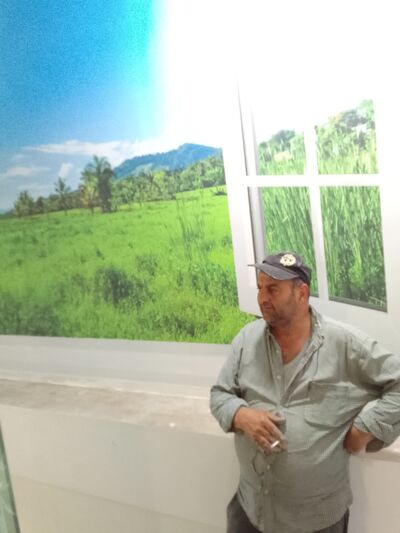  ,   , 53 ,   ,   