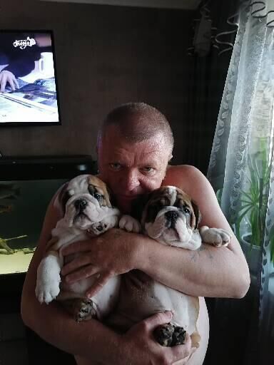 ���������� ������, ���� ������� �����, 44 ����, ������������ ��� ������, ����� � ���������, c�������� ���������