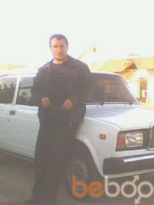  ,   SEM, 49 ,   