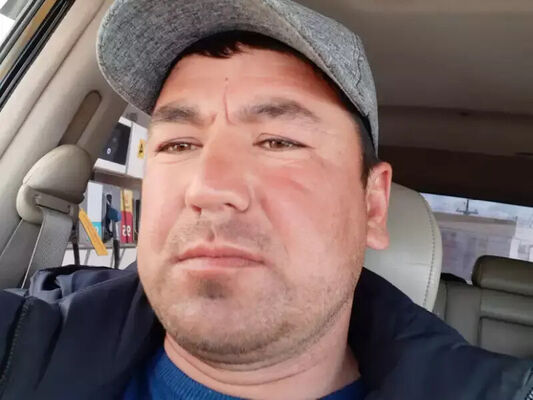 -,   , 37 ,  