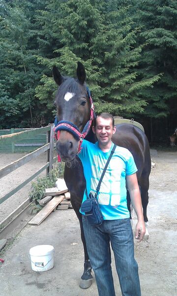  ,   , 51 ,   ,   , c 