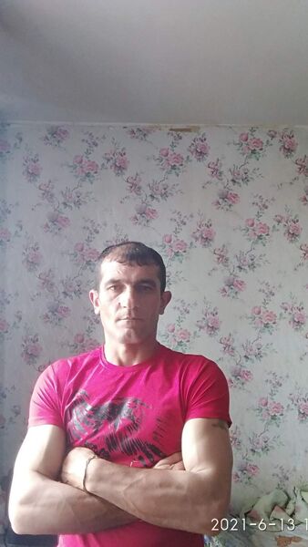  -,   , 39 ,   ,   