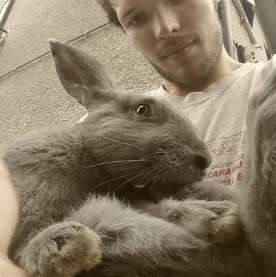  ,   Vladislavs, 31 ,   ,   , c 