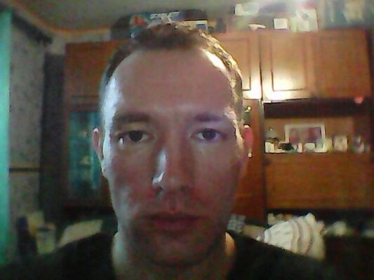   ,   , 41 ,   