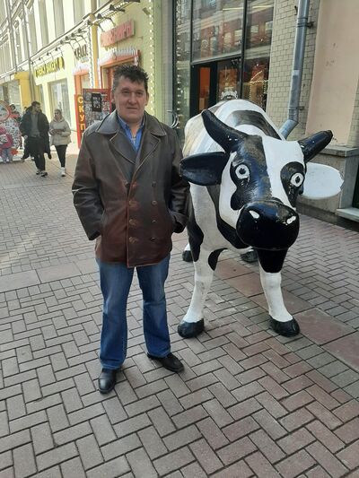  ,   , 54 ,   ,   