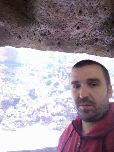  ,   , 38 ,   c 