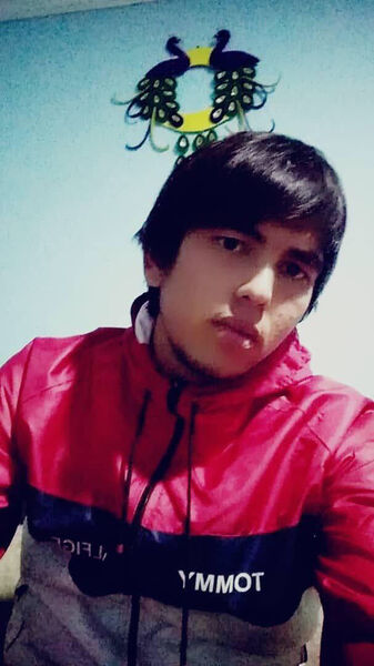  ,   , 24 ,   ,   