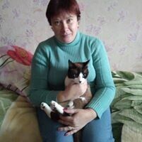  20081706  , 48 ,    