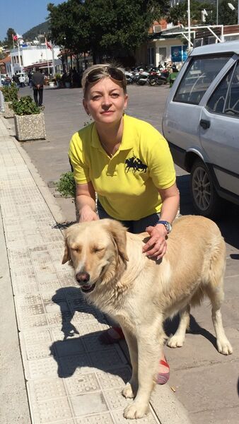 ,   Natalya, 53 ,   ,   , c 