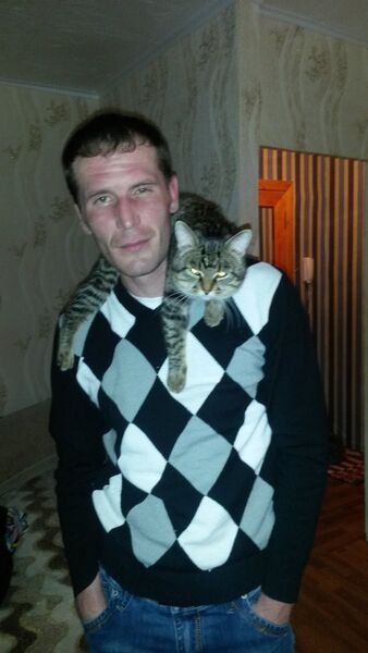  ,    31, 43 ,   ,   , c 