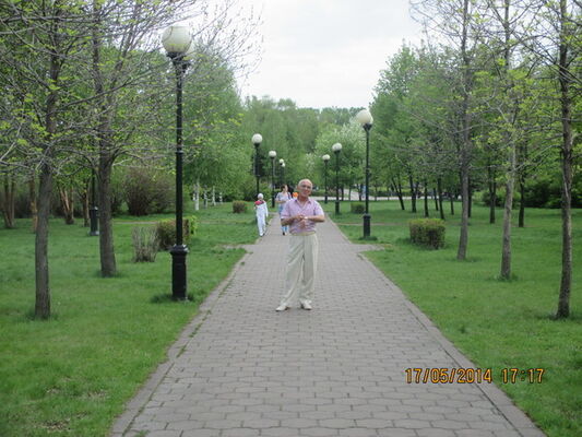  ,   , 66 ,   
