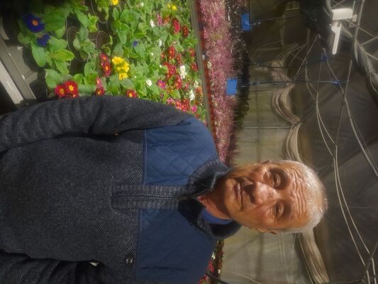  ,   , 54 ,   ,   