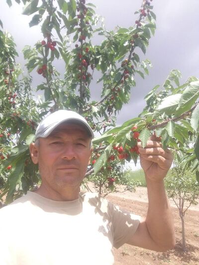  ,   , 57 ,   ,   , 