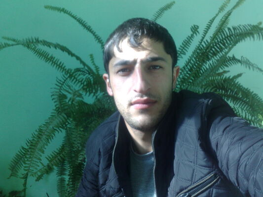  ,   SAXIN, 37 ,   ,   , c 