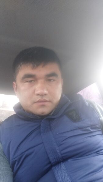  ,   Muzaffar, 40 ,   ,   , c 