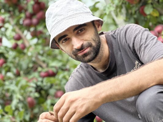  ,   Azema, 27 ,   ,   