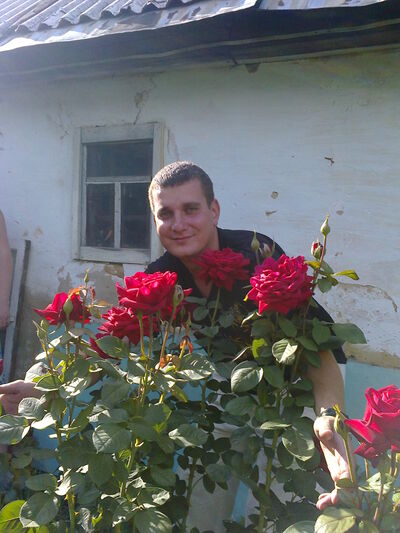  ,   , 39 ,   