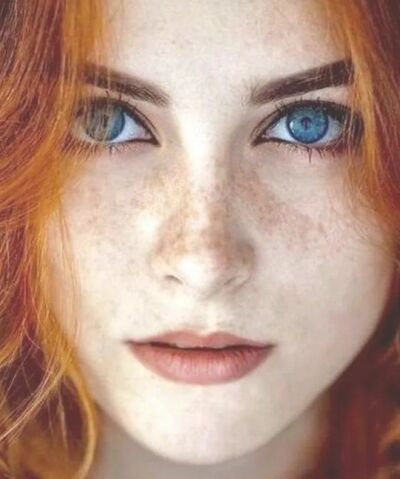  -,   , 41 ,  