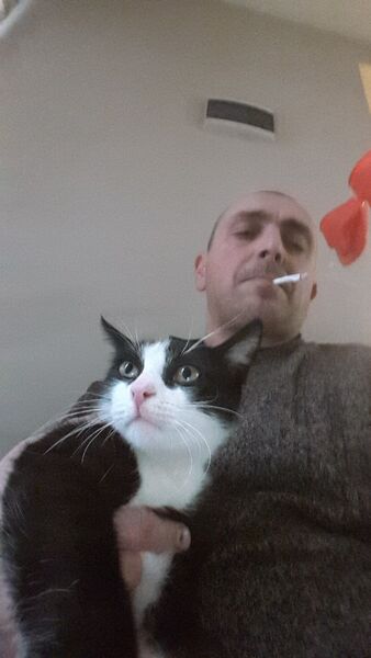  ,   Giorgi, 43 ,   ,   , c 
