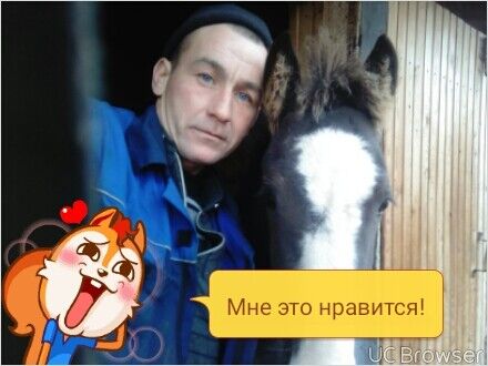  -,   , 40 ,   ,   , c 