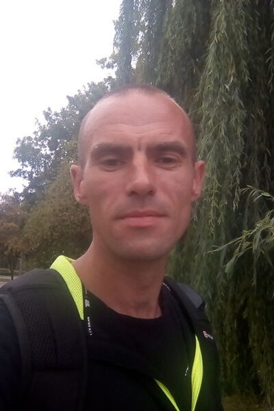  ,   , 44 ,  