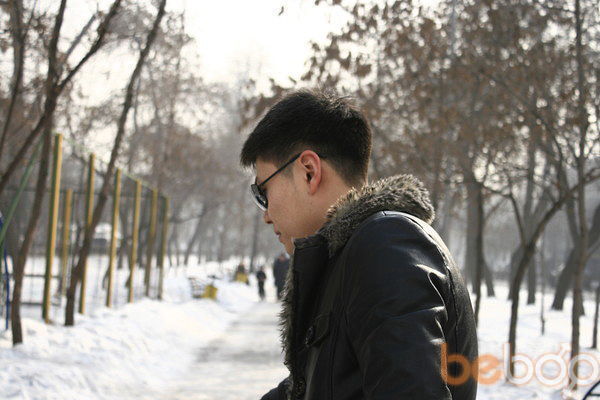 ���������� �����, ���� ������� �������, 37 ���, ������������ ��� ������, ����� � ���������, c�������� ���������, ���������