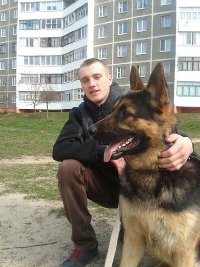  ,   Dima, 31 ,   ,   , c , 