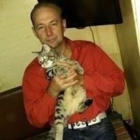  ,   , 51 ,   