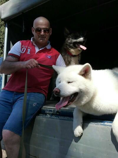  ,   Arsen, 55 ,     , c 