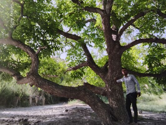  --,   Mohemad, 28 ,   ,   