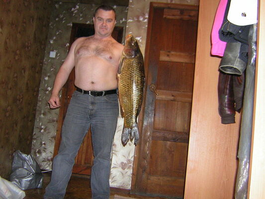  ,   , 56 ,  