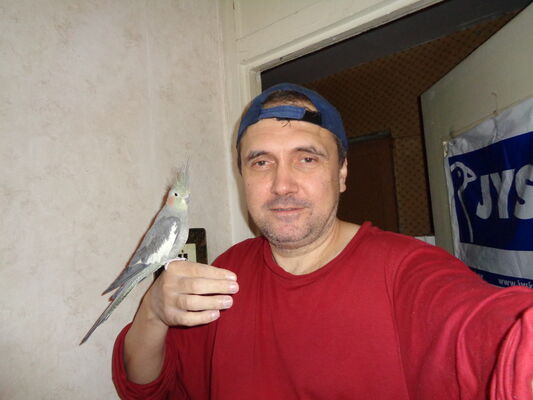  ,   , 52 ,   ,   , c 