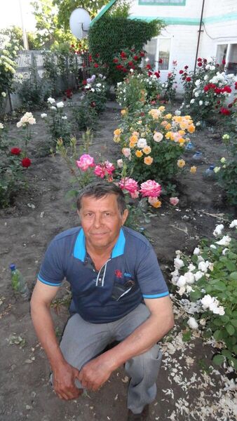  ,   , 71 ,   ,   , c , 