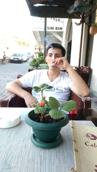  ,   Gaspar, 36 ,   ,   , c 