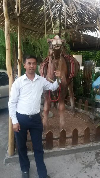  ,   Leopard, 45 ,   ,   , c 