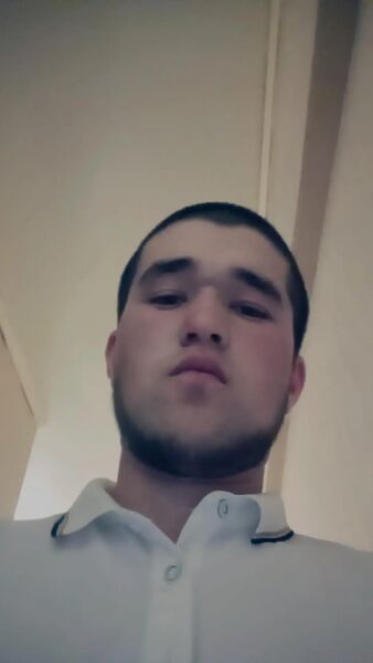  ,   MAGA, 22 ,   ,   