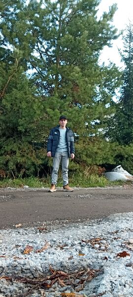  ,   , 41 ,   ,   